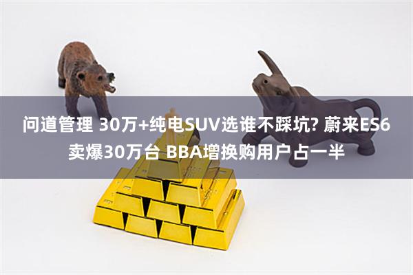 问道管理 30万+纯电SUV选谁不踩坑? 蔚来ES6卖爆30万台 BBA增换购用户占一半