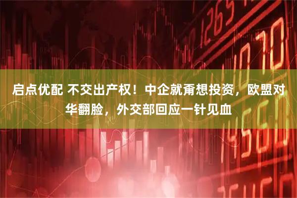 启点优配 不交出产权！中企就甭想投资，欧盟对华翻脸，外交部回应一针见血
