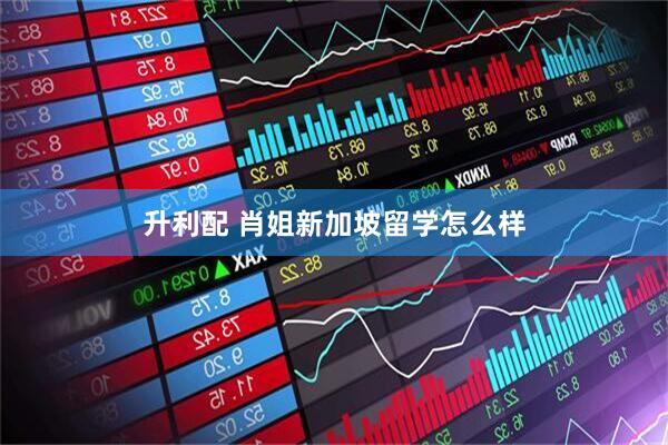 升利配 肖姐新加坡留学怎么样